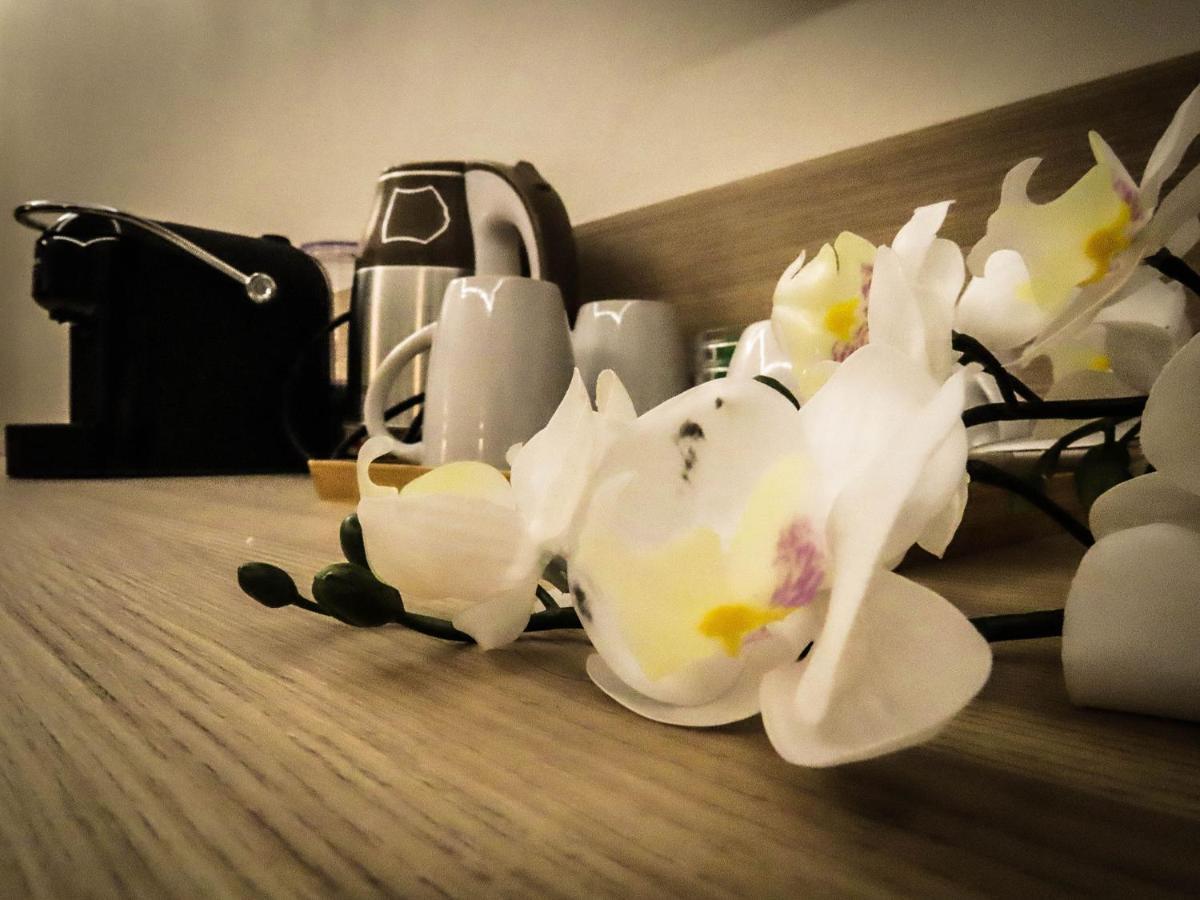 My Maison 70 Guest House Рим Экстерьер фото